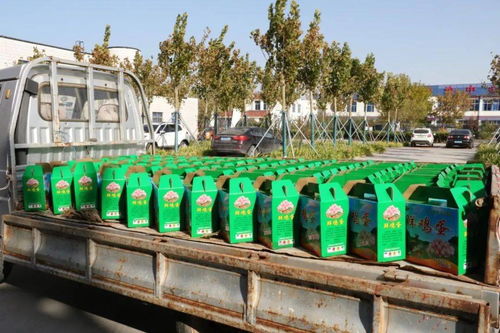 袁延胜 致富不忘众乡亲 尊老敬老人称赞