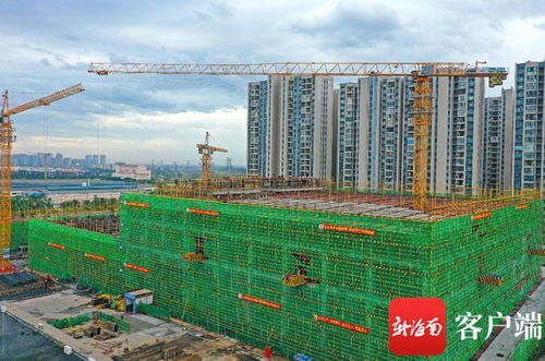 组图 海南 省冷 公共冷链商贸城高标冷库一期主体结构有望9月底封顶