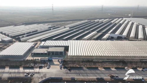 窗口办 变 现场办 平原县项目审批时间压缩80 以上