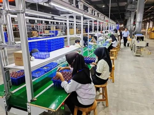 工厂直招与劳务派遣 建筑劳务领域如何选择？